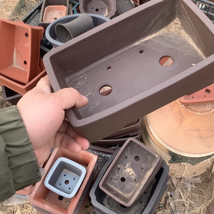 紫砂哈哈真的是太给力太火爆了