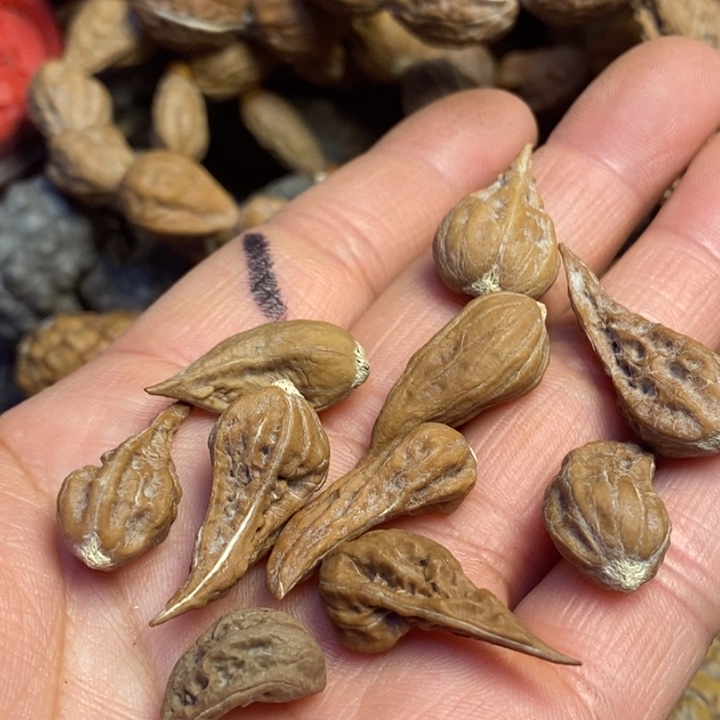 文玩核桃吊坠东北特产14