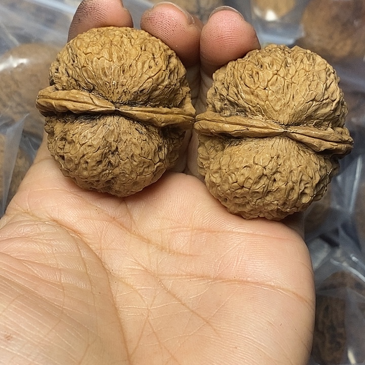 把件文玩核桃云南铁核桃98