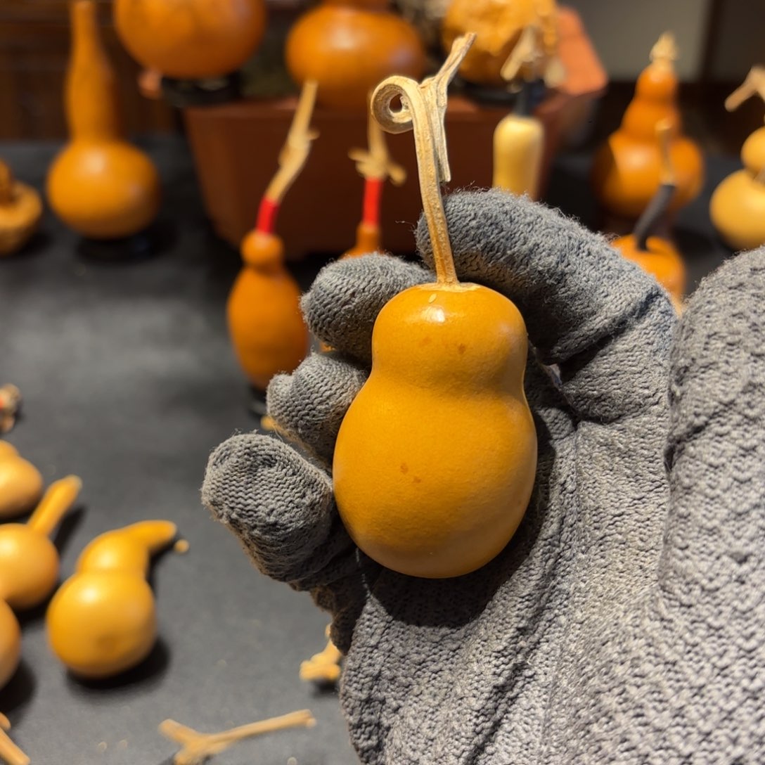 M***y葫芦888888888888888