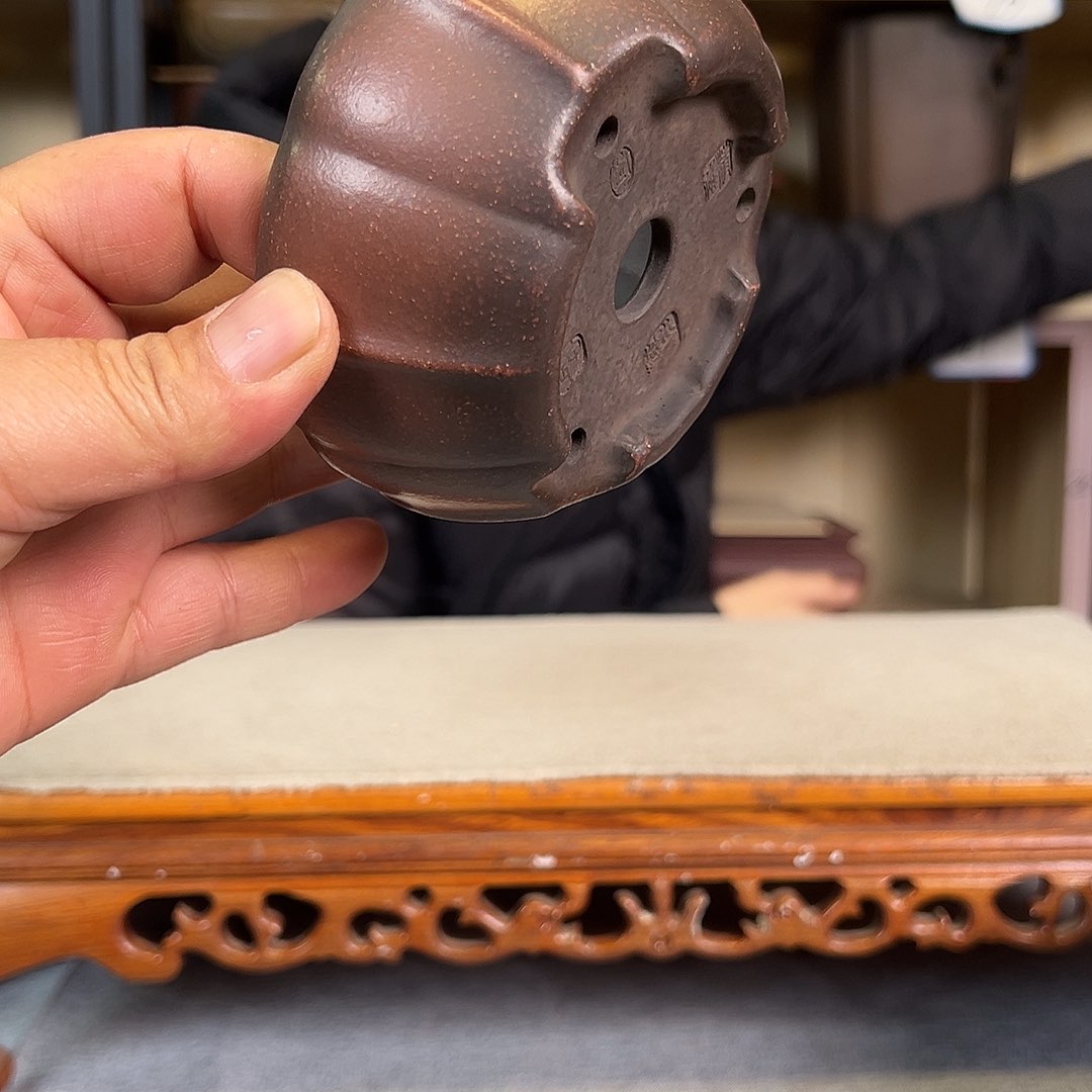 紫砂花盆F*386665556666669