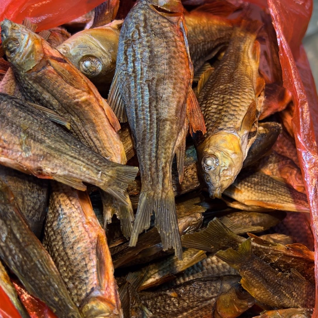 中国大陆中大红腹石斑鱼干1斤装
