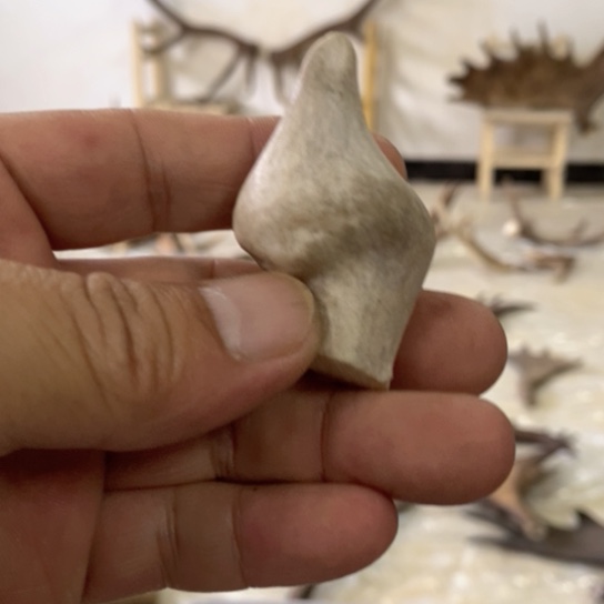 大叶紫檀（黑酸枝木类）