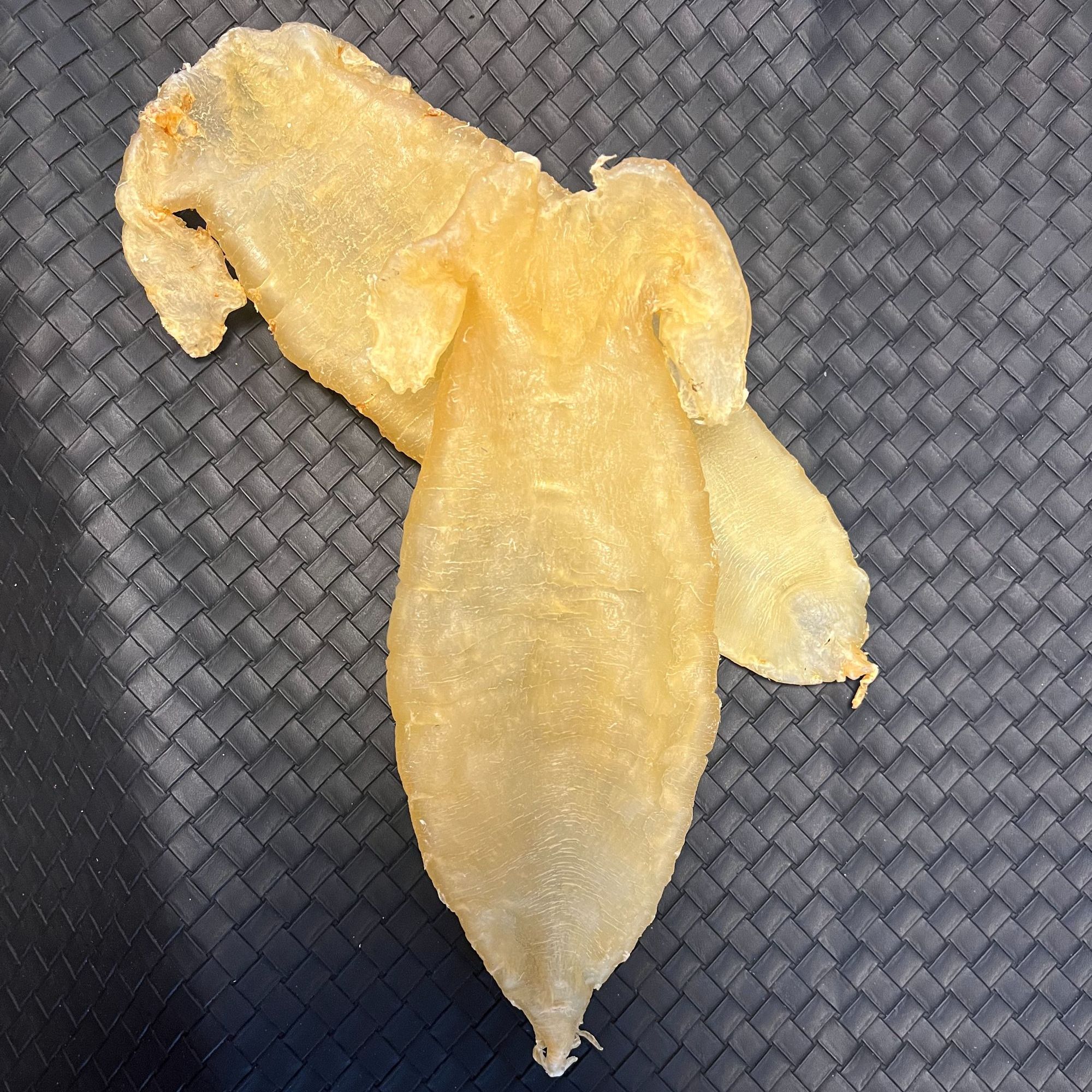 珠海市海荟滋补行大耳赤嘴鱼胶/花胶/鱼肚/滋补品