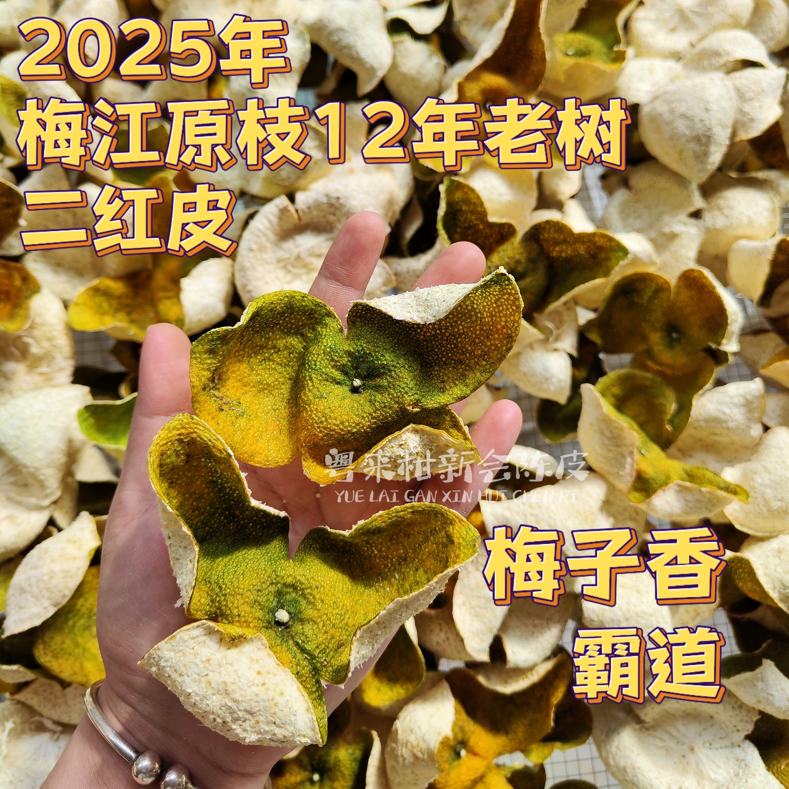 【梅江原枝二红】2025年梅江原枝12年老树 二红皮干皮 霸道梅子香