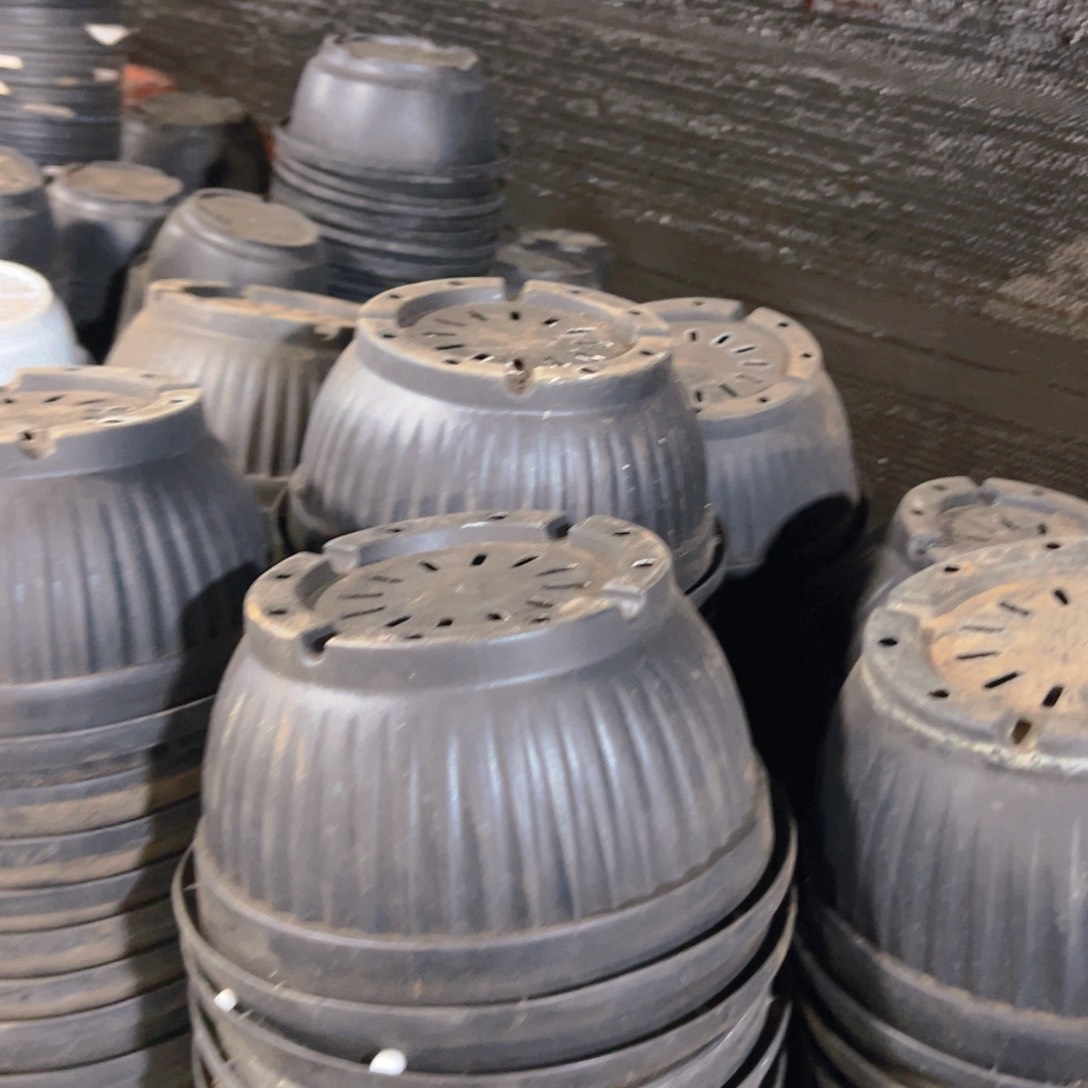 硬元宝盆24口径13高 4个