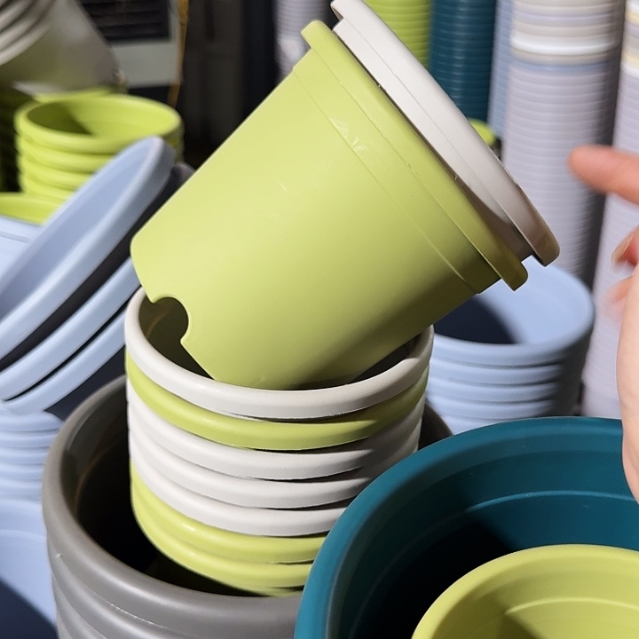 四季1#混色20个无托