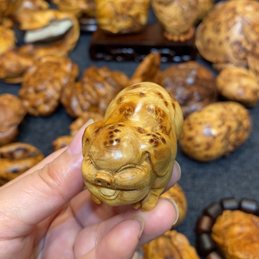 柏木（崖柏）太行精品陈化瘤疤小金猪