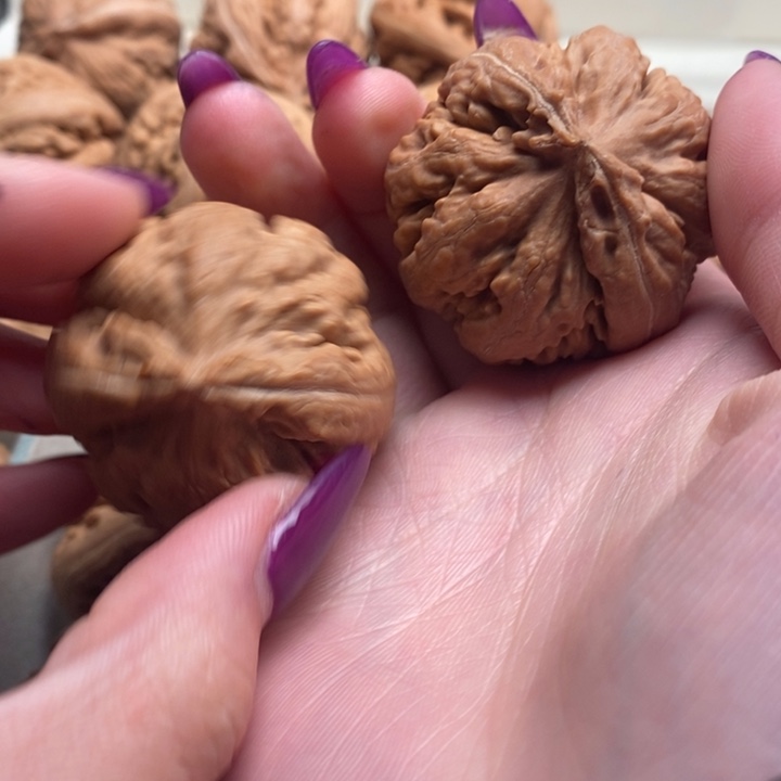 J***L文玩核桃吊坠霸王龙