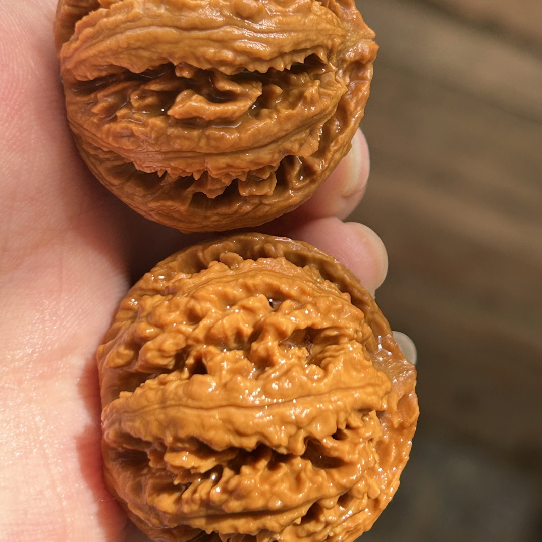 【压车链接，勿私拍】秦岭野生粗筋文玩核桃元宝八棱闷尖盘玩手把件