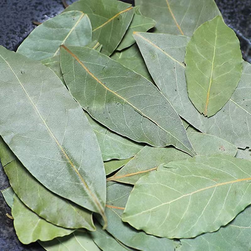 广西新货头茬香叶无熏硫自然晒干优质调料