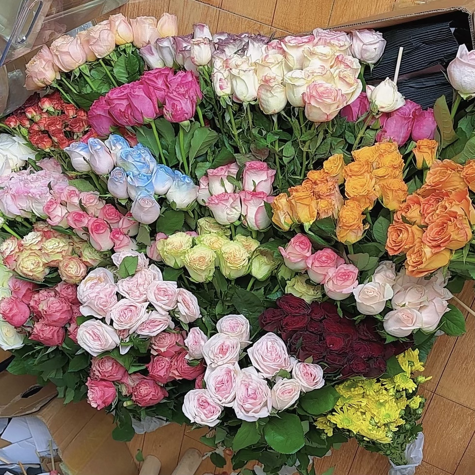 苏菲+折射云南鲜花基地直发多种花材组合包邮