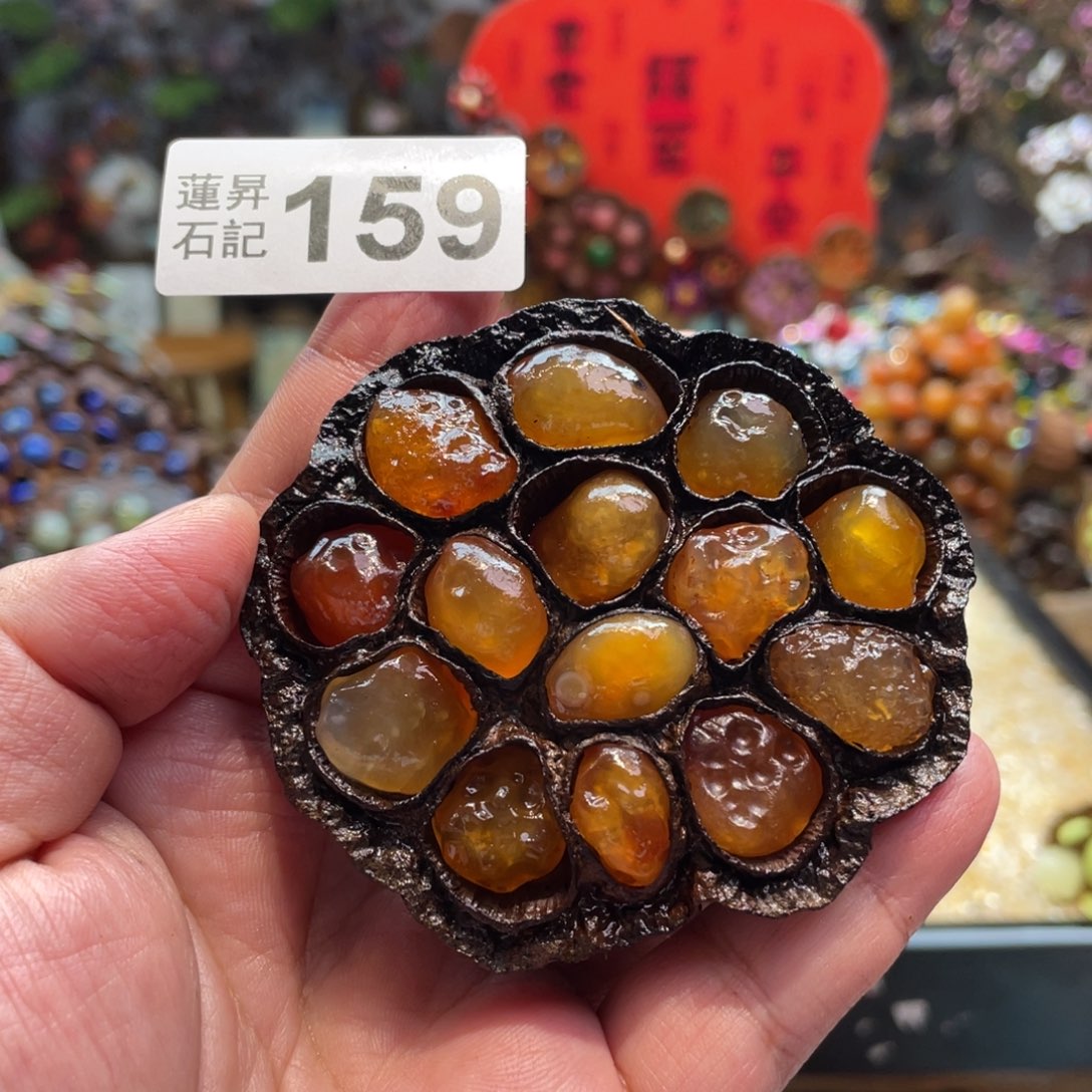 核桃木/黑胡桃（胡桃木）?****²159