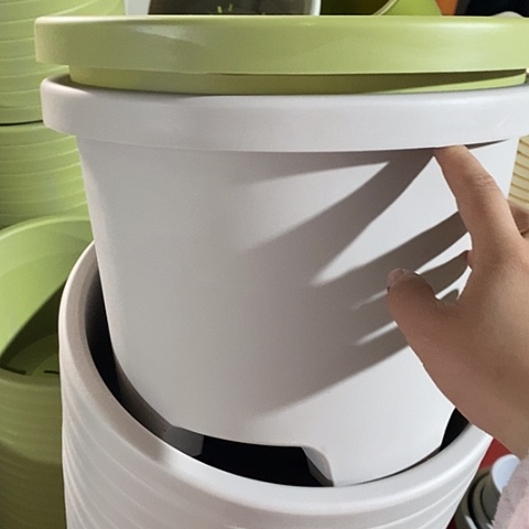 树脂球根32口径5个无托灰白