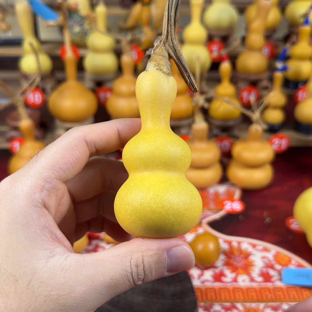 木***.葫芦ufcucucuucivvuvu