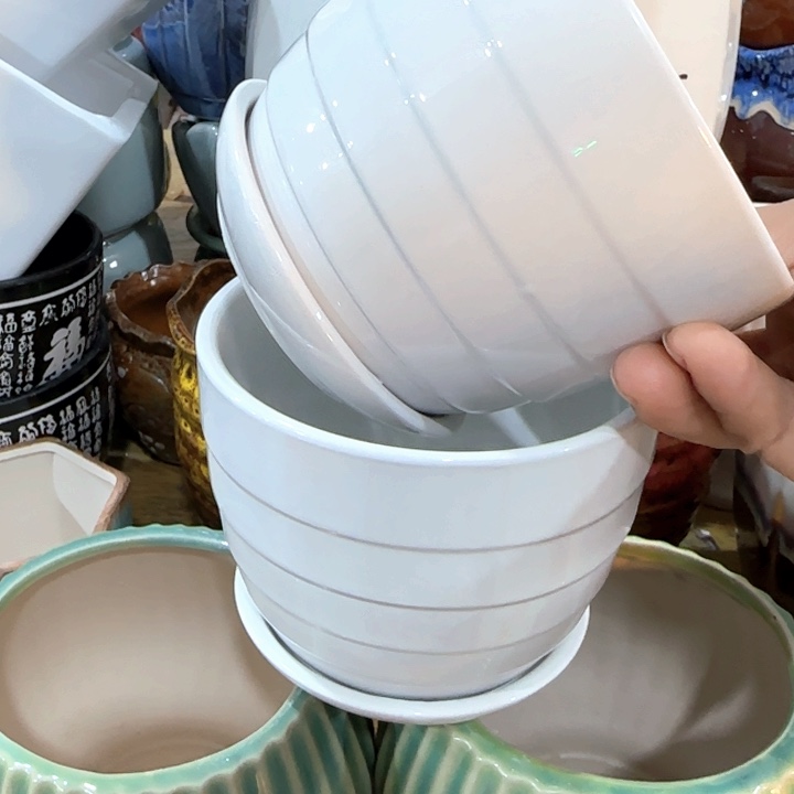 不清楚问客服凑9块包邮