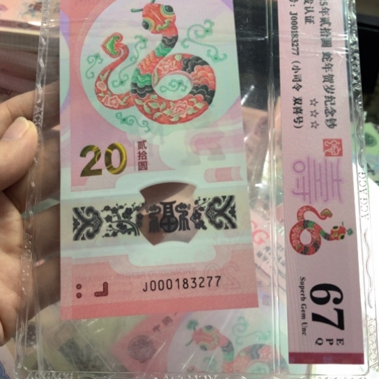 000183277小司令双尾———-