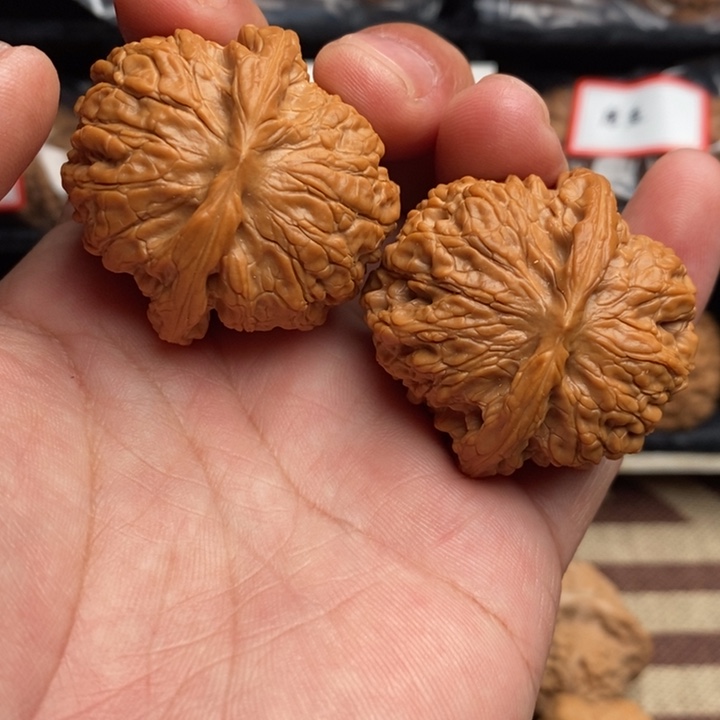 全品血麒麟42尺寸