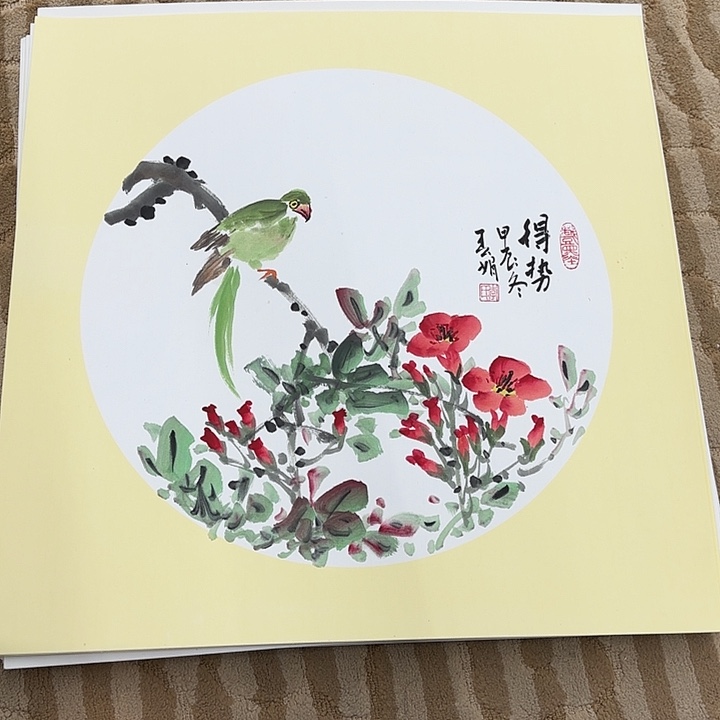 国画花鸟等多种鸟类和鸟类为食之