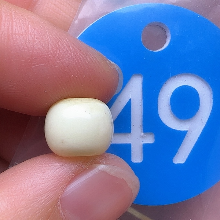 蜜蜡裸石未镶嵌花粉9.8m m