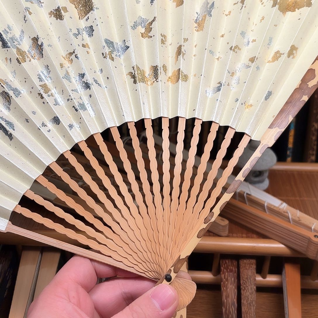 扇子白洒龙鳞梅妃