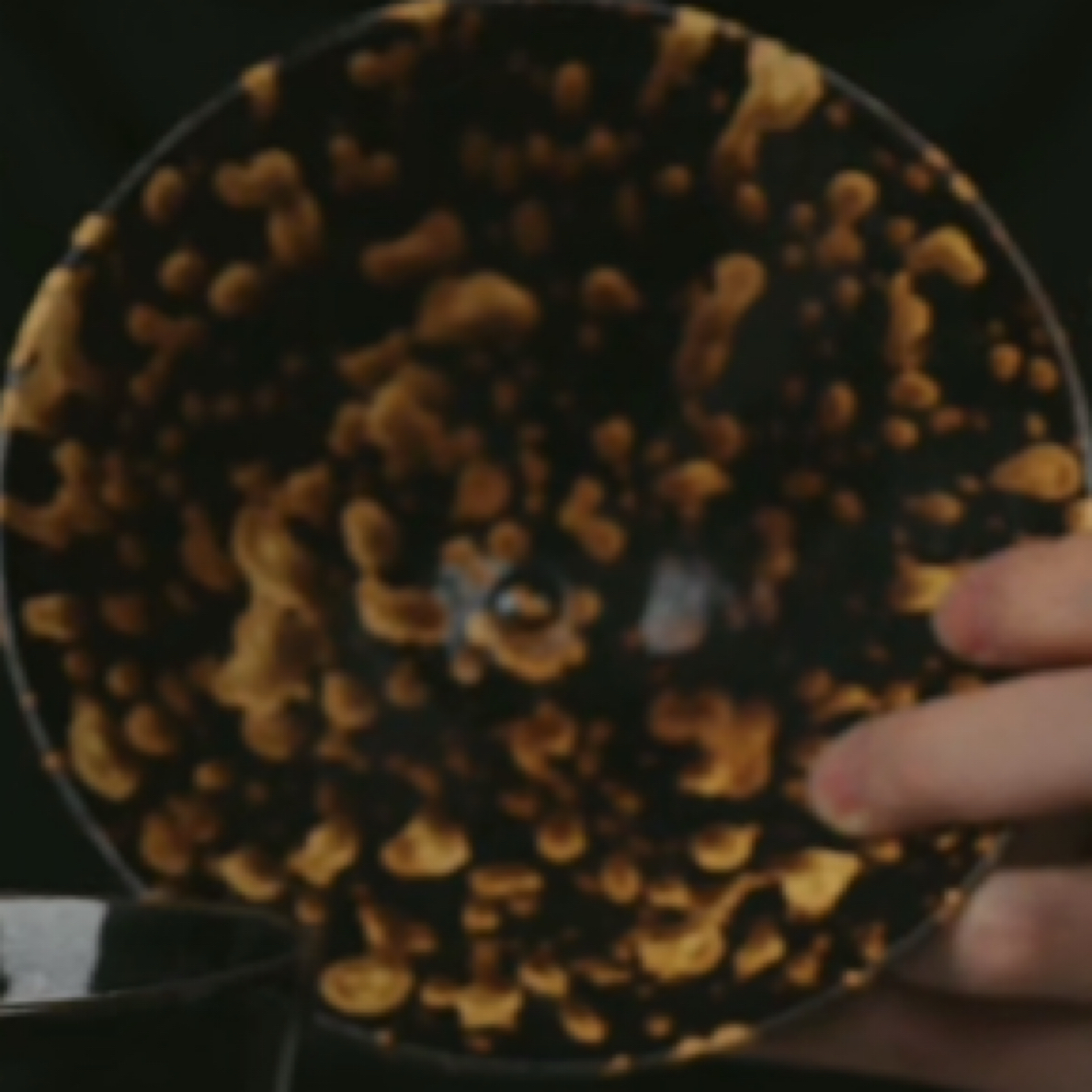 M吉州窑窑变釉油滴盏