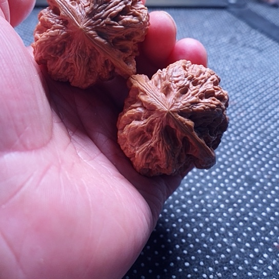 文玩核桃把件忧***?将军膀