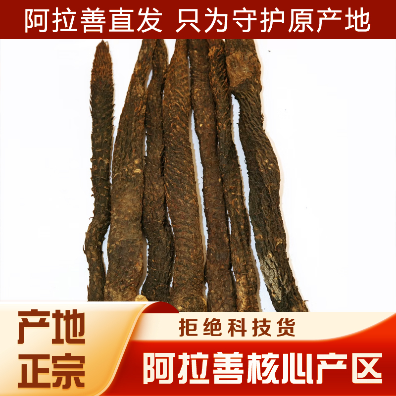 2内蒙古阿拉善泡酒料
