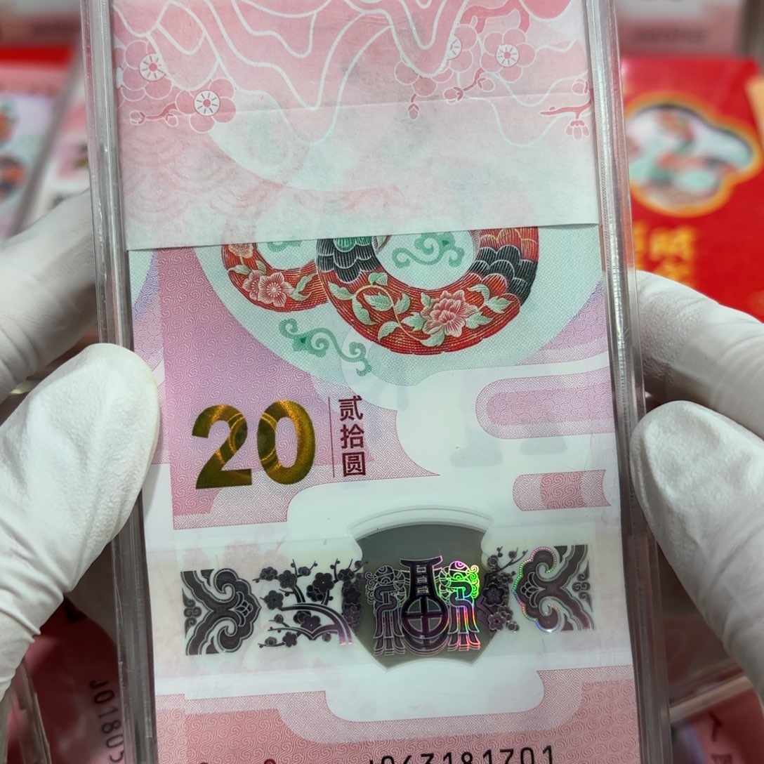 塑料蛇钞一刀一刀无4