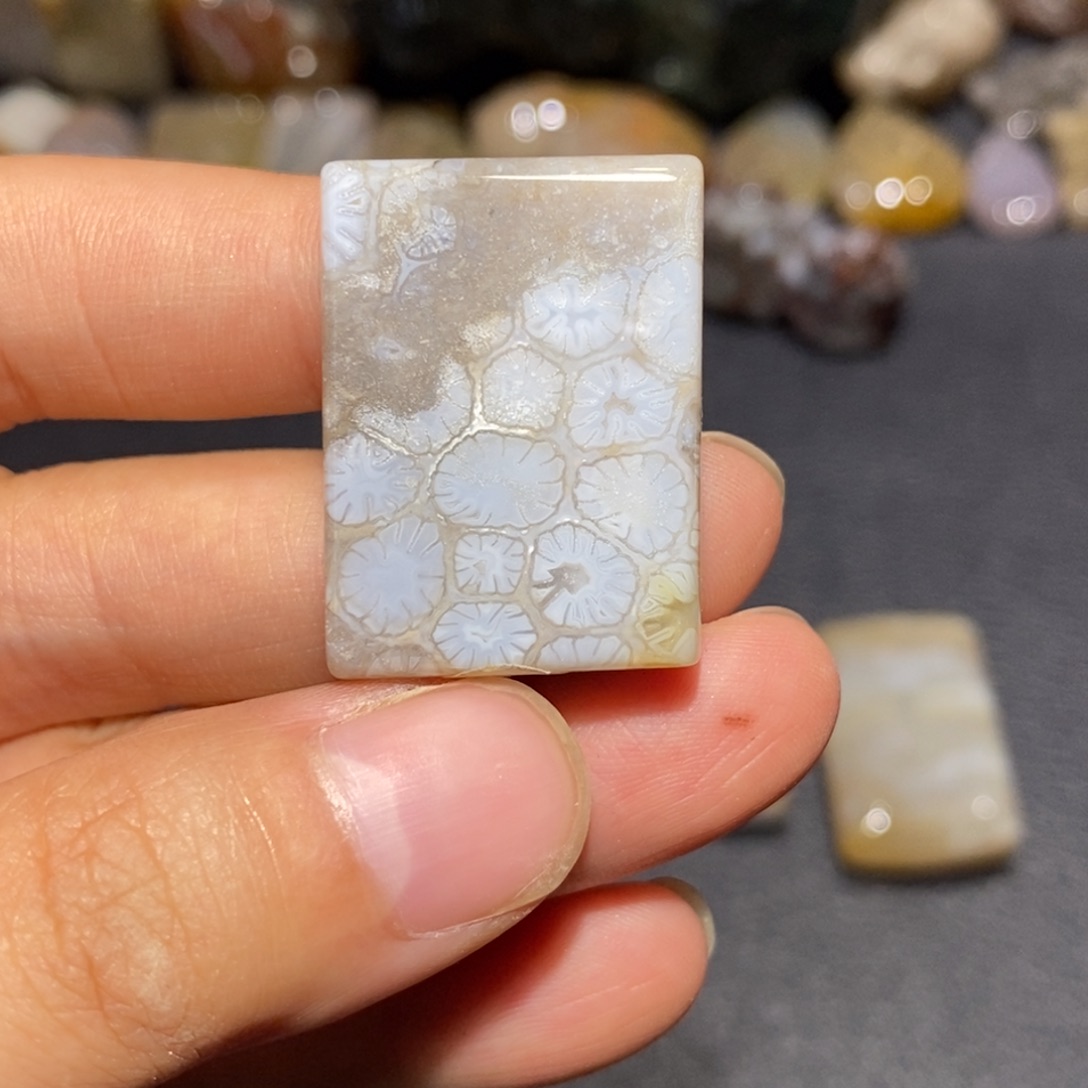 【闪购商品】未镶嵌珊瑚玉硅化玉