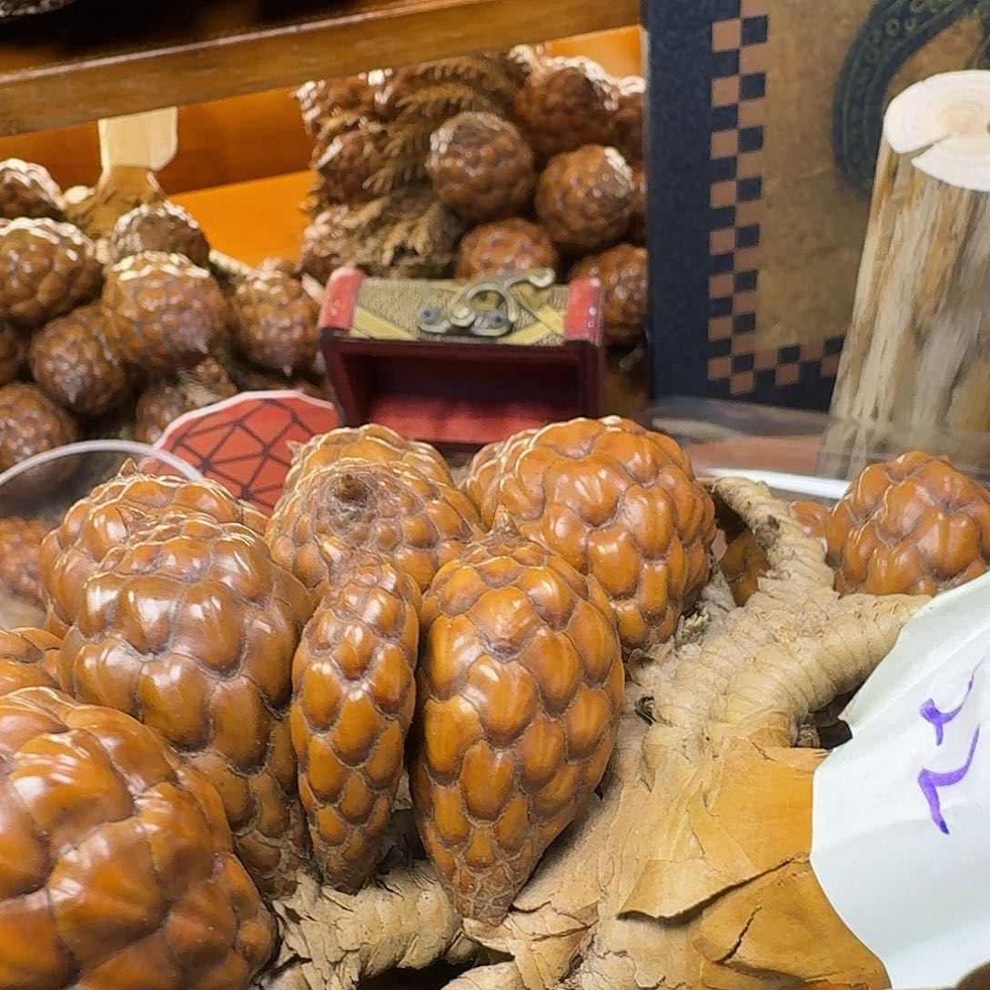 f***i木小鼻噶粉酒椰一个