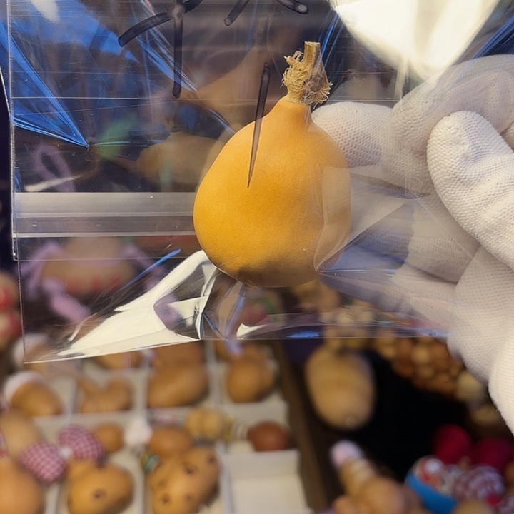 哈哈哈哈，不错不错