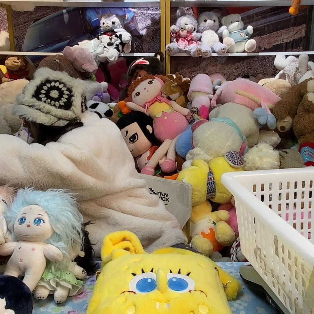 毛绒⸌****毛绒玩具246