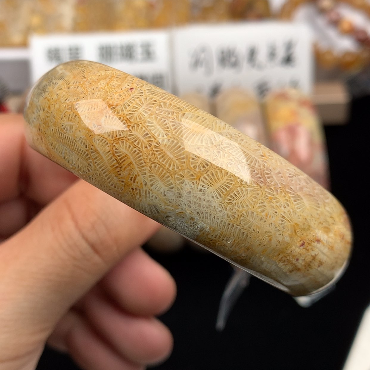 【闪购商品】硅化珊瑚（珊瑚玉）未镶嵌手镯56.7