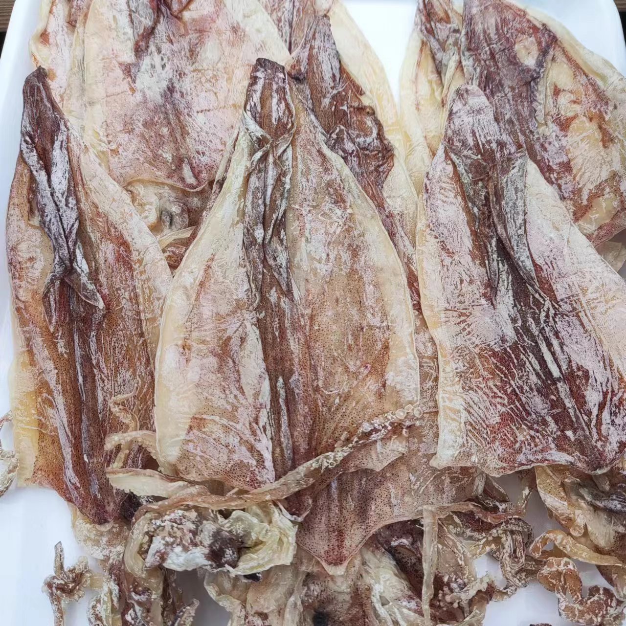 红姐精选  鱿鱼干