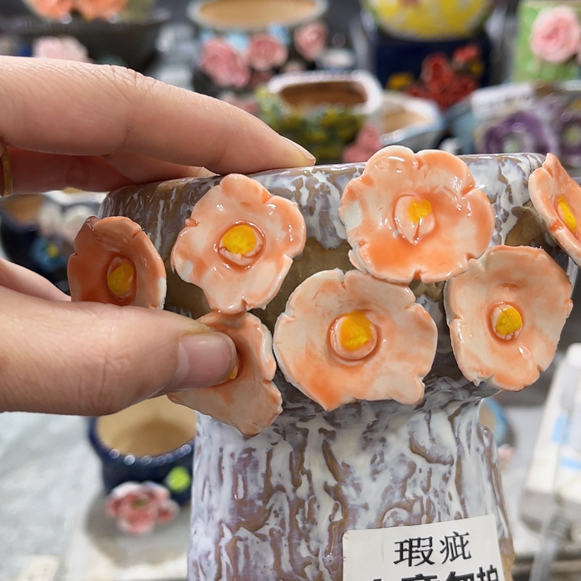 【闪购商品】红陶福利