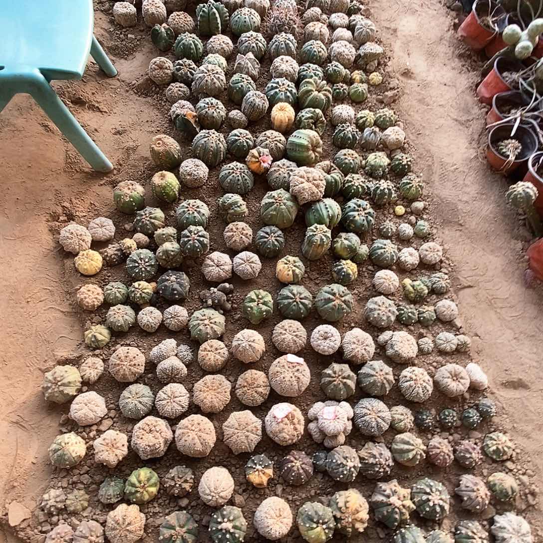 兜兜兜兜兜兜兜兜兜兜9