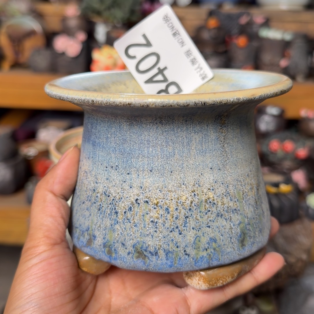 重庆小燕子欢迎大家402