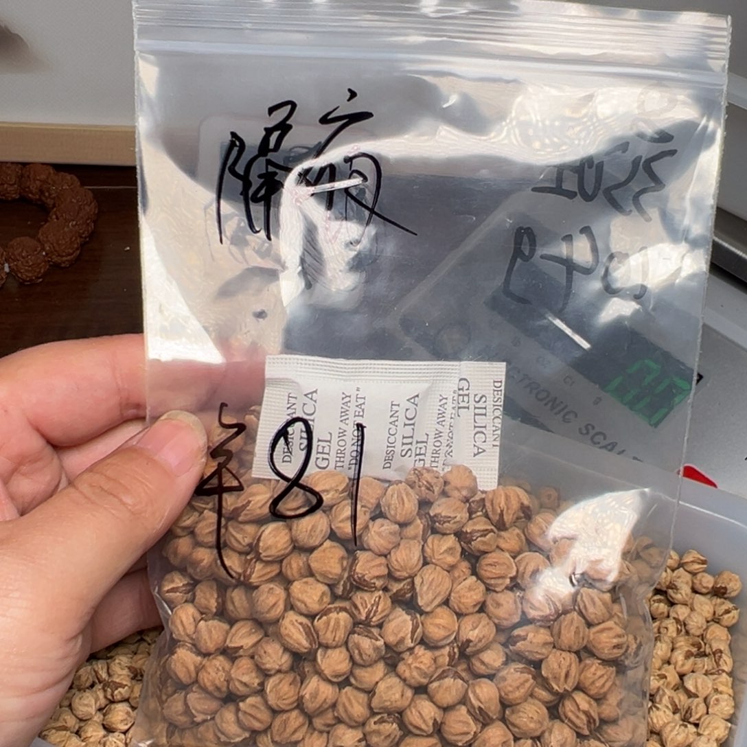 柏香籽/百香籽吊坠隔*鬱