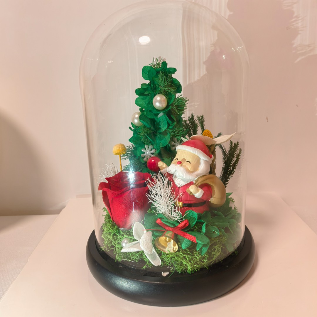 EDO进口绿植圣诞水晶玻璃罩永生花红玫瑰套装 圣诞送礼氛围感拉满