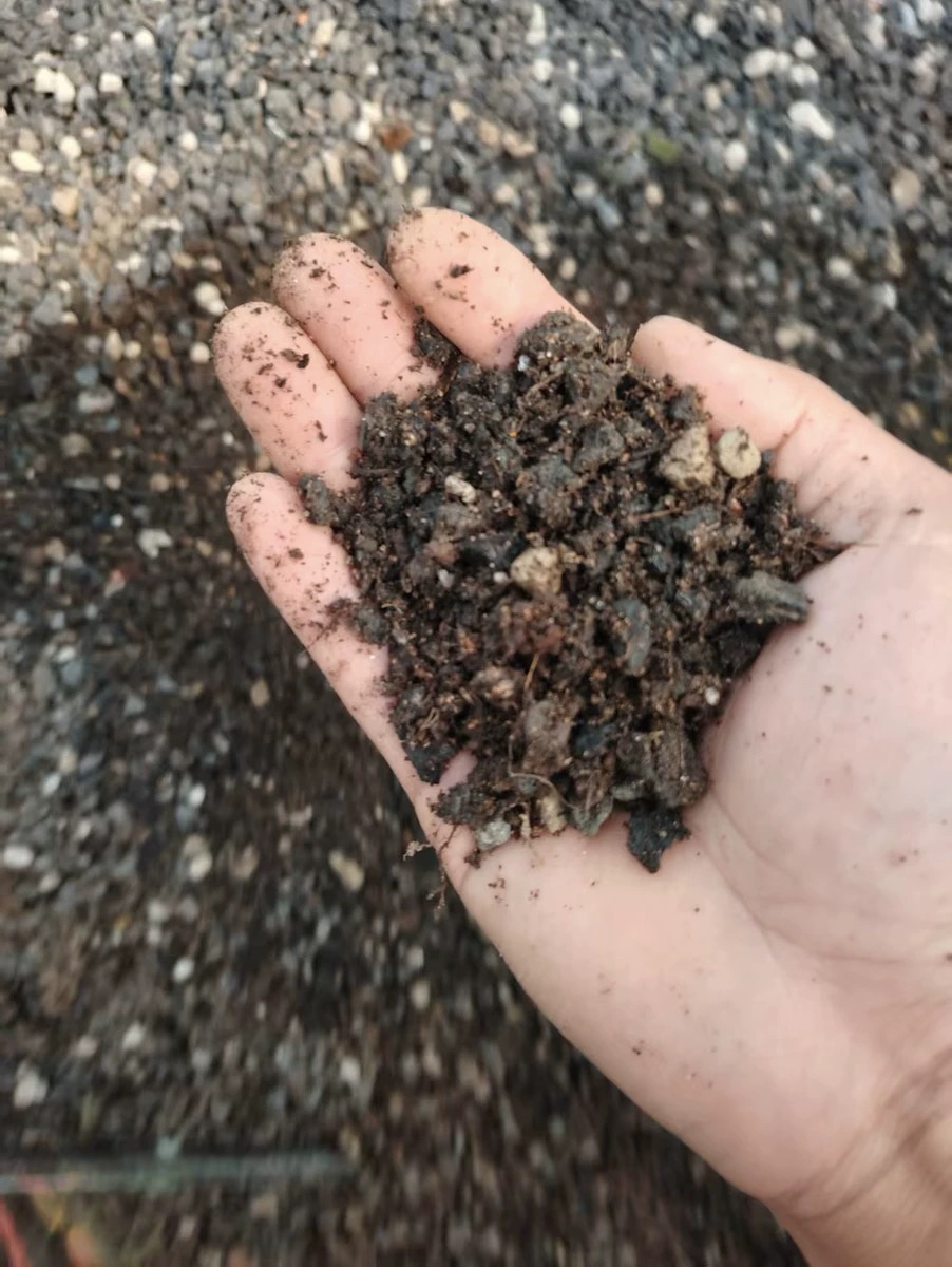 【养根石】搭配排激素使用一袋5斤重通用型