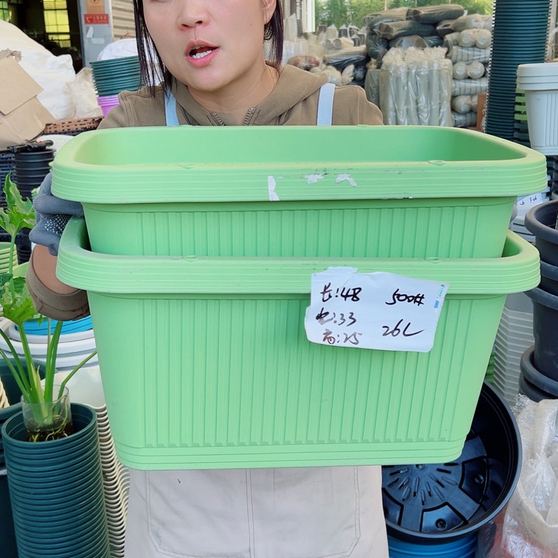 菜盆500#果绿色3个无托