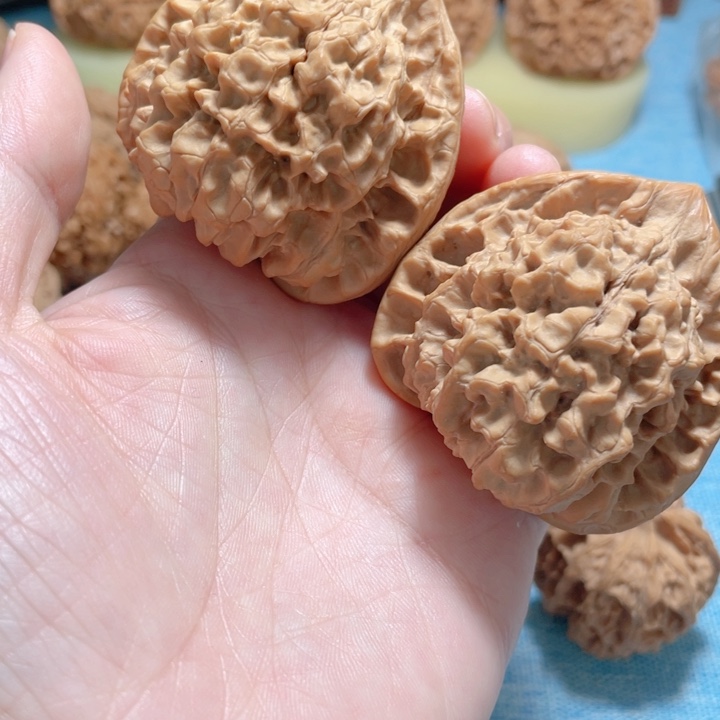 毛*的48尺寸官帽骨质好文玩核桃