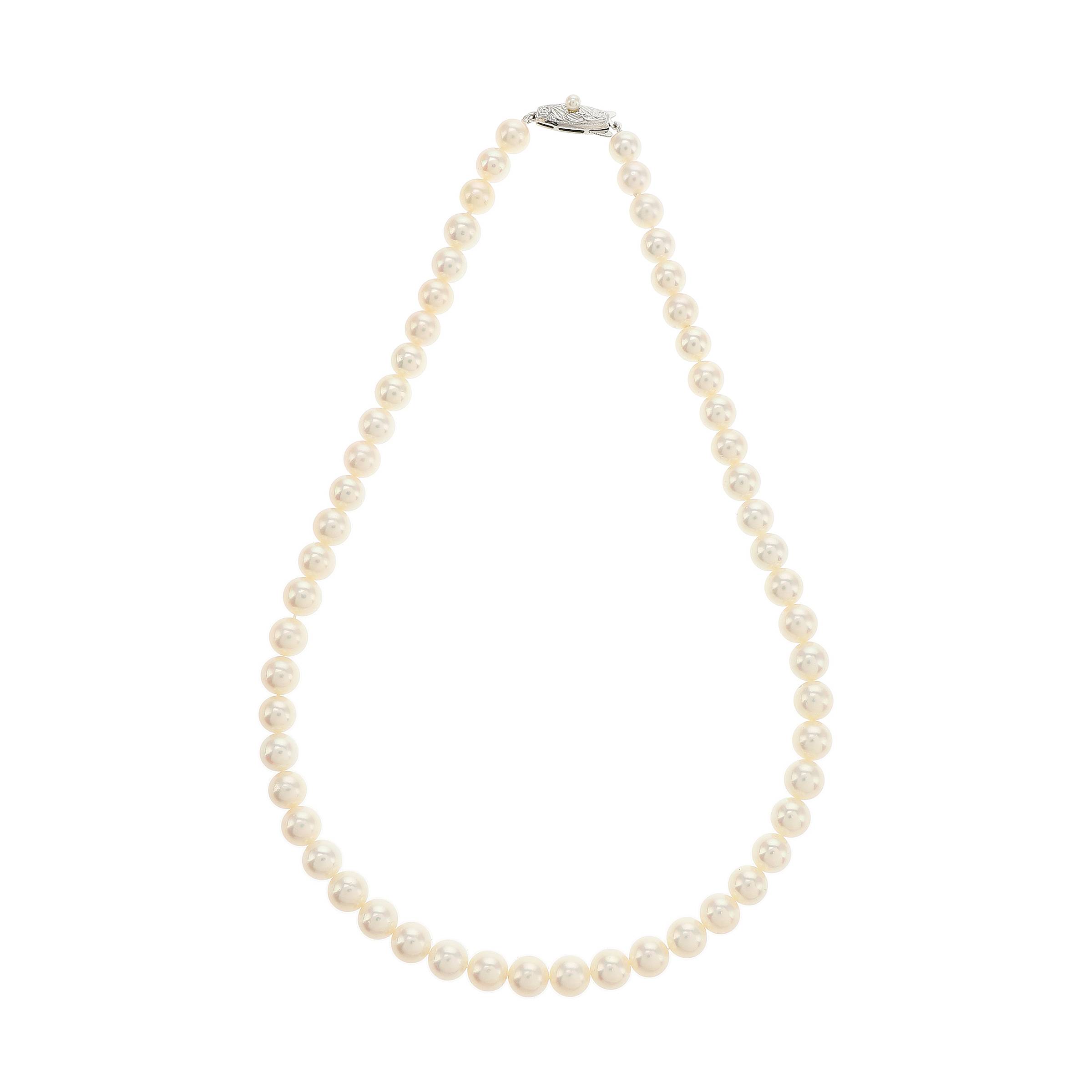 红布林/C1开箱/塔思琦/61330642/z/121285