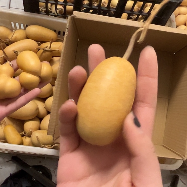 冬瓜葫芦厚皮漂亮