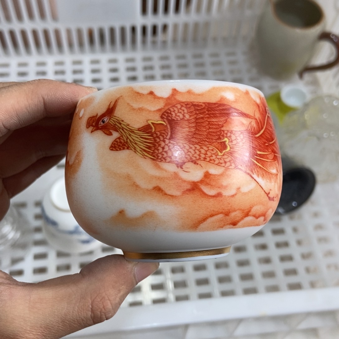 杯直播链接直播链接