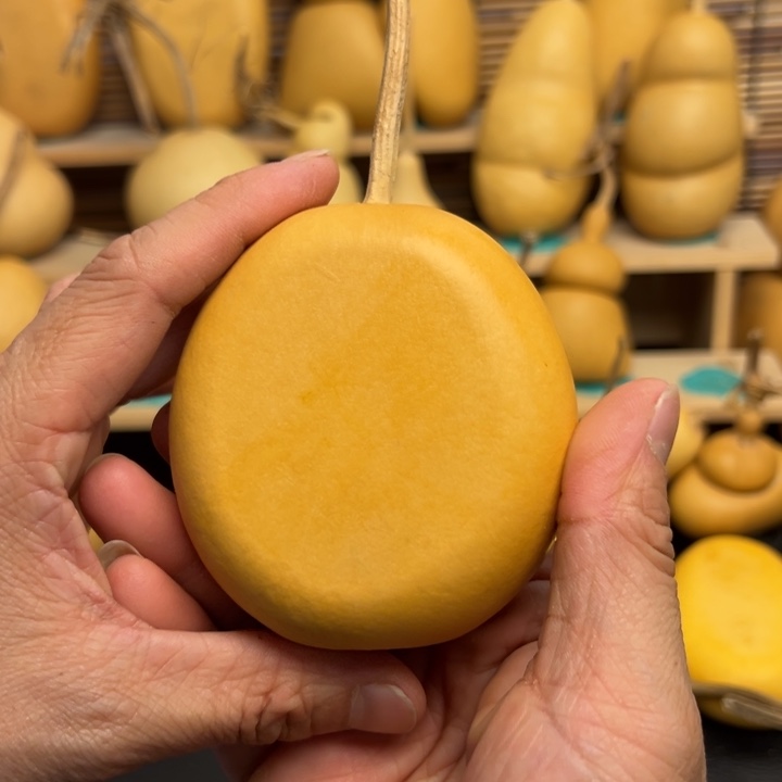 ?****熟336666666666666