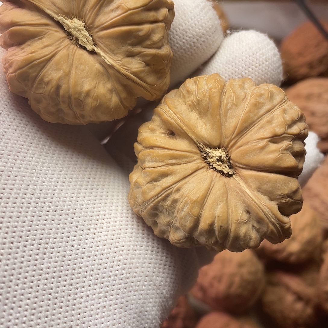 桃核吊坠呼****谱南瓜狮子头