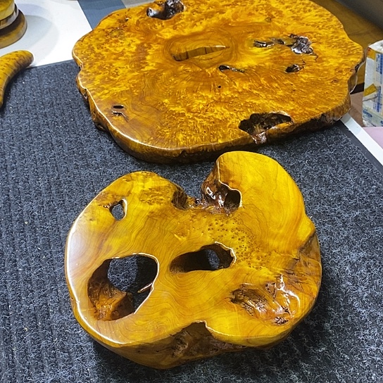 余*香杉干泡干泡干泡