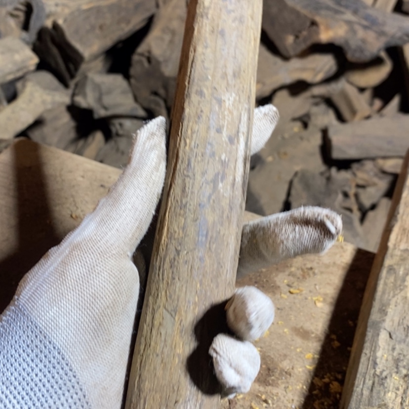 【闪购商品】把件贡木M****n私人订制